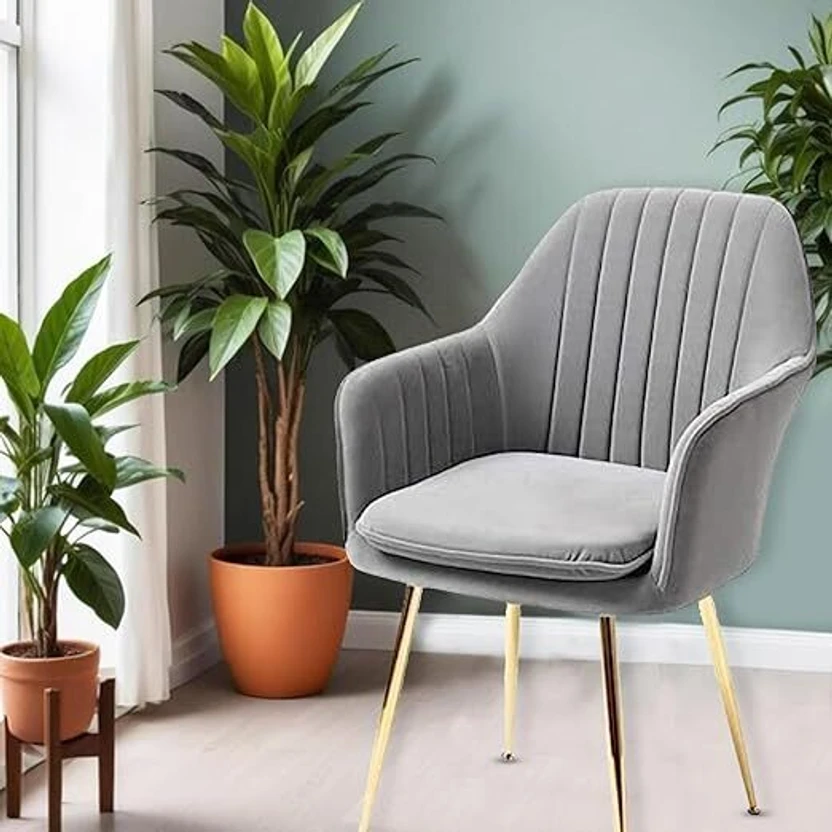 NEXON Velvet Dining Chairs, Cushion Seat Chair for Living Room Be...more