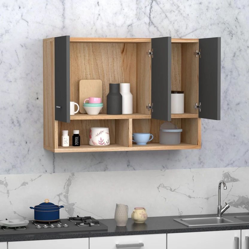 Divysa 2 Door Wall Mounted Kitchen Cabinet for Home & Kitchen, Ba...more