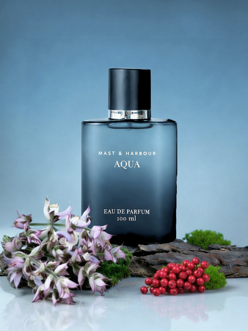 Perfumes Mast & Harbour Men Aqua Eau De Parfum 100 ml
