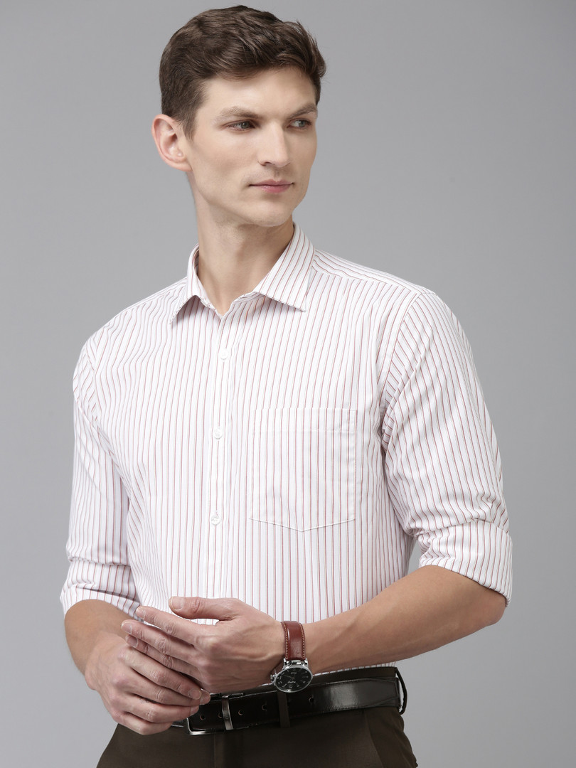 Park Avenue Slim Fit Opaque Striped Formal Shirt